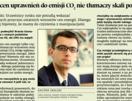 Kacper Skalski dla Dziennika Gazeta Prawna o podwyżkach cen energii dla odbiorców