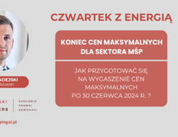 Thursday with Energy: The end of maximum prices for the SME sector